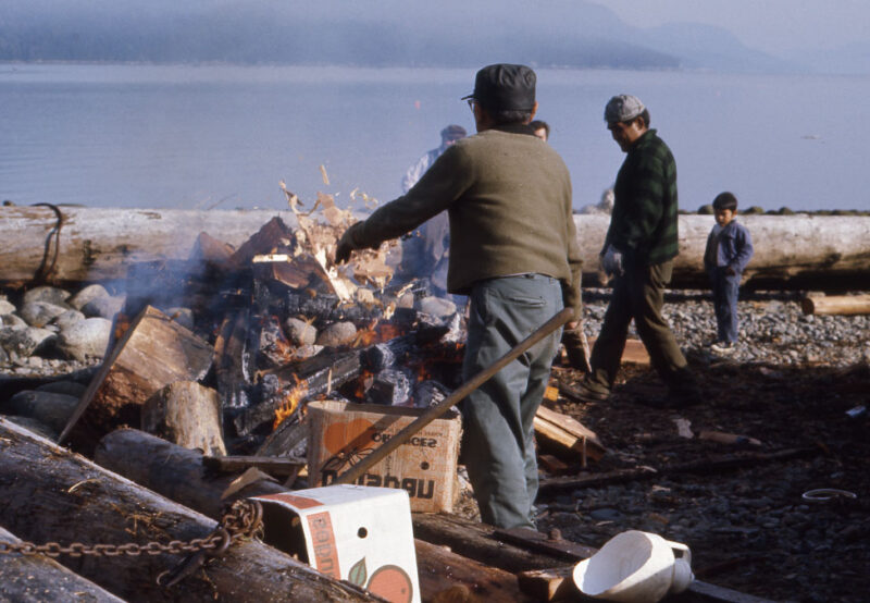 A group of people, one in a green jacket, gather around a beachside fire near logs and a lake with mountains in the background.