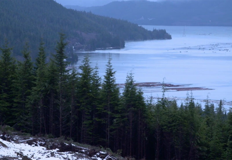 View of a forested area with snow on the ground, overlooking a calm body of water with distant tree-covered hills and overcast sky.