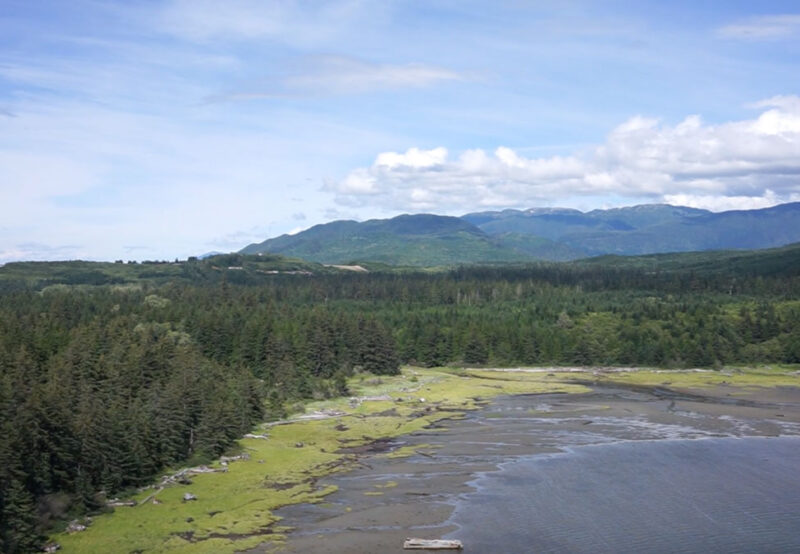 A scenic landscape featuring a coastal forest with lush greenery, a stretch of beach, and distant mountains under a partly cloudy sky.