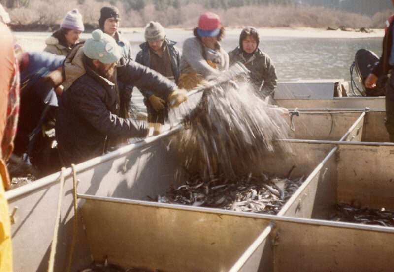 People sorting and loading fish into metal containers near a body of water, with wooded hills seen in the background.