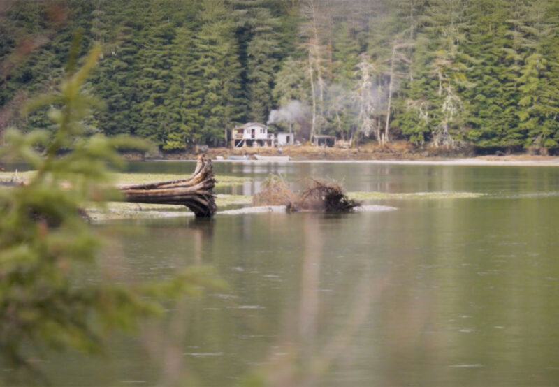 A cabin with smoke rising from the chimney stands by a forested lake, with logs and greenery scattered in the water and trees in the background.