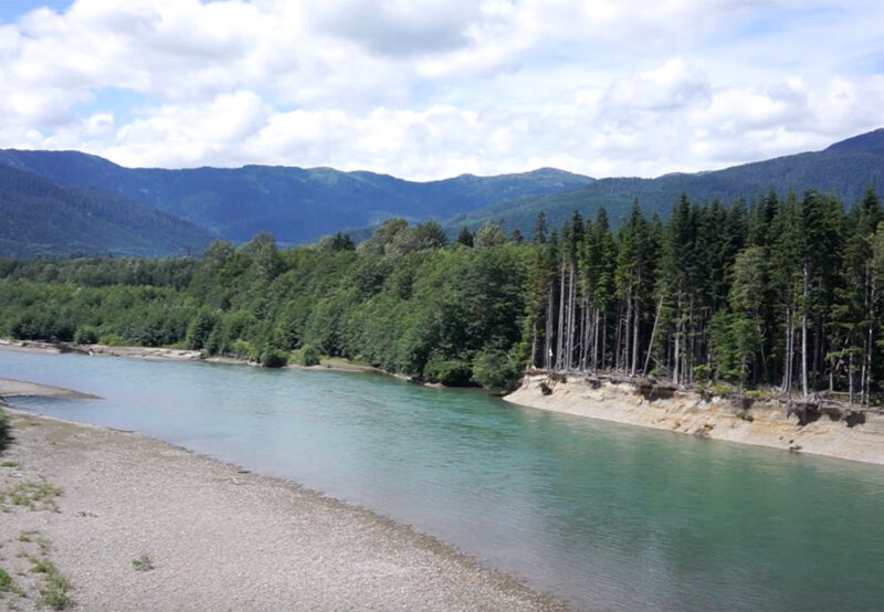 A serene river flows through a lush forested valley, with tall trees lining its banks and mountains rising in the background under a partly cloudy sky.