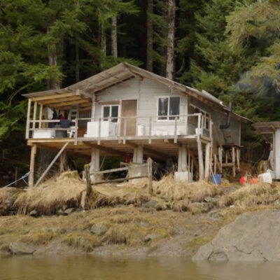 A rustic wooden cabin on stilts stands by a forested lakeshore, featuring a small porch and surrounded by trees and grass.